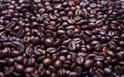 coffee bean, black coffee, sea of coffee, beans, coffee