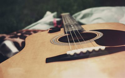 Guitar, picnic, guitar strings, musical instrument
