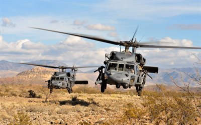 Sikorsky UH-60 Black Hawk, two helicopters, US Air Force, US army, military transport helicopter, Sikorsky Aircraft, flying helicopters, UH-60 Black Hawk, Sikorsky, aircraft