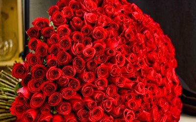 バラの巨大な花束, 4k, 赤いバラ, 百本のバラの花束, バラの背景, 大きな花束, バラ, 赤い花束