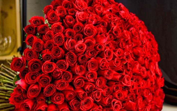 enorme ramo de rosas, 4k, rosas rojas, ramo de cien rosas, fondo con rosas, ramo grande, rosas, ramo rojo
