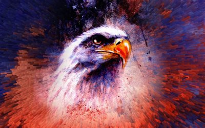 4k, el águila calva abstracta, el arte de la pintura, el símbolo de ee uu, las aves de américa del norte, las aves depredadoras, el símbolo americano, el águila calva, haliaeetus leucocephalus, el águila calva 4k, el águila