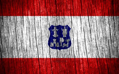 4k, bandeira do distrito capital, dia do distrito capital, departamentos paraguaios, textura de madeira bandeiras, distrito capital bandeira, departamentos do paraguai, distrito capital, paraguai