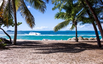 tropikal adalar, okyanus, yaz seyahati, jet ski, okyanusta beyaz yat, deniz manzarası, plaj, yaz, sahilde palmiye ağaçları