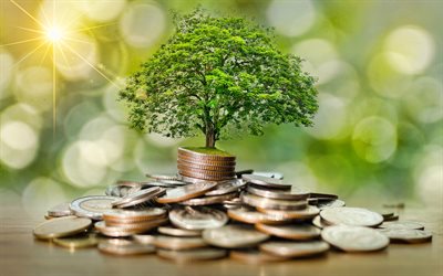 4k, money tree, money growth, capital, tree on coins, mountain of money, capital growth, money concepts, business concepts