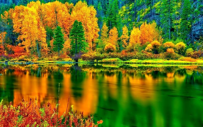 리, 가을, 자연, 조경, 숲, 호, 트