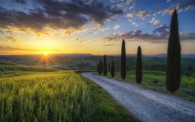 rays, sun, morning, light, road, field, cypress, tuscany, the sun, italy