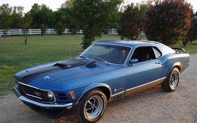 classique d, fastback, mach 1, t-5, ford mustang, 1970, voiture de muscle, bleu moyen