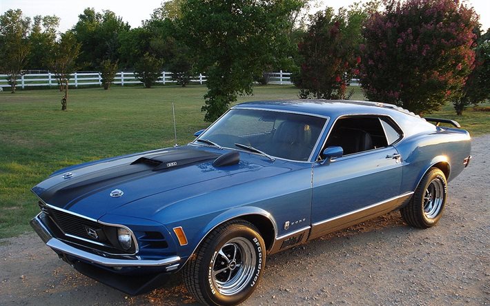 clásico d, fastback, mach 1, t-5, el ford mustang, 1970, muscle car, azul medio