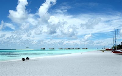 ö, hav, bungalow, cote d azur, stranden, maldiverna