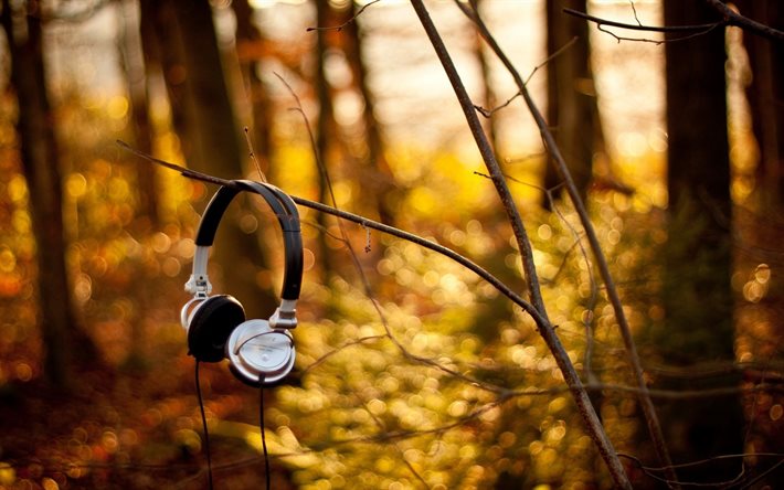 hi-tech, sony, auriculares, bosque
