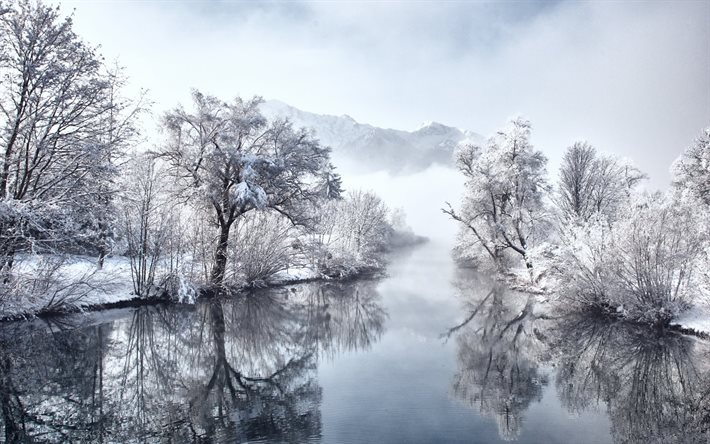 dimma, vinter, träd, snö, bayern, vatten, tyskland