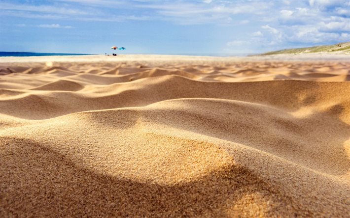 الكثبان الرملية, قرب, الشاطئ, شبكية العين