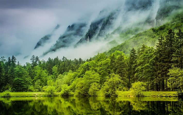 forest, lake, trees, green, mist, the lake, fog, mountain, mountains, nature, water, spring, germany, clouds