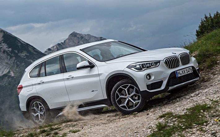 off road, crossover, xline, xdrive25d, bmw, 2016, nature, white