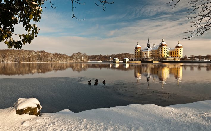 城moritzburg, 湖, 反射, 鳥, 雪, moritzburg城, ドイツ