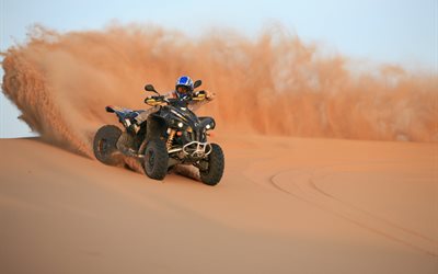 rallye dakar, le désert, 2014, sable