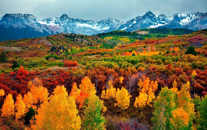 árvores, natureza, pintura, montanhas, outono, paisagem
