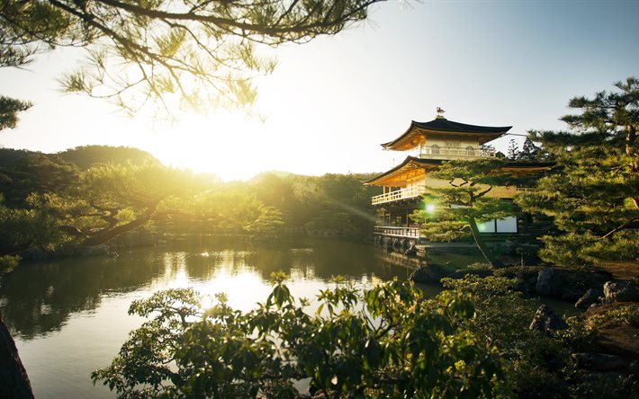 japan, tempel, kyoto, kväll, templet, rokuon-ji