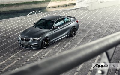 bmw, m235i, track edition, 2016, specialmodell