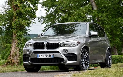 f15, au-spec, crossover, bmw, 2015, road, forest