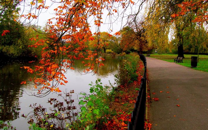 otoño, árboles, callejón, caminata, río, parque, hdr, el bosque, las hojas