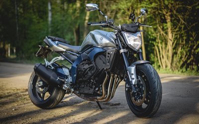 Yamaha FZ1-N, superbikes, 2016, offroad, motos deportivas