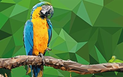 Guacamayo, 4k, baja poli arte, fondo verde, el loro en una rama, creativo, parrot