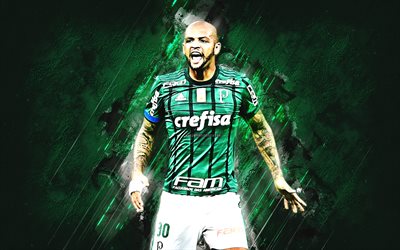 Felipe Melo, grunge, Palmeiras, le Brésilien footballeurs, vert de la pierre, le milieu de terrain, le football, le Blaireau, la Serie A, le Brésil