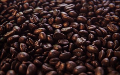 los granos de café, macro, café, granos, textura