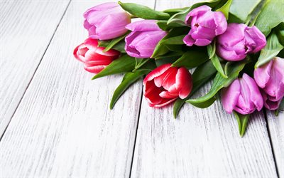 tulipas violetas, 4k, bokeh, fundo branco de madeira, buquê de tulipas, flores da primavera, macro, flores violetas, tulipas, flores bonitas, fundos com tulipas, botões violeta