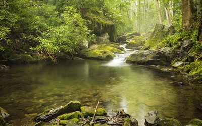 forest, lake, waterfall, nature, USA, Great Smoky Mountains, National Park