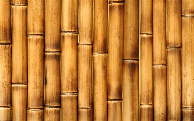 4k, des bâtons de bambou, macro, des textures de bambou, des textures vectorielles, du bambou brun, des textures naturelles, des tiges de bambou, des milieux de bambou, du bambou