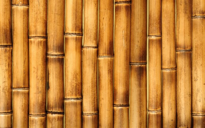 4k, bastoncini di bambù, macro, trame di bambù, trame vettoriali, bambù marrone, trame naturali, steli di bambù, sfondi di bambù, bambù