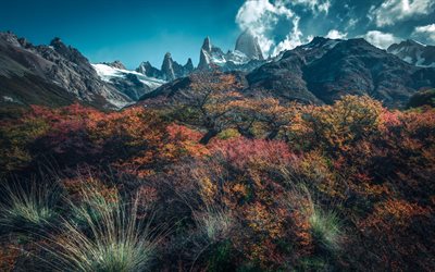 andes, paysage de montagne, rochers, patagonie, plantes de montagne, montagnes, ciel bleu, photos de montagne, chili