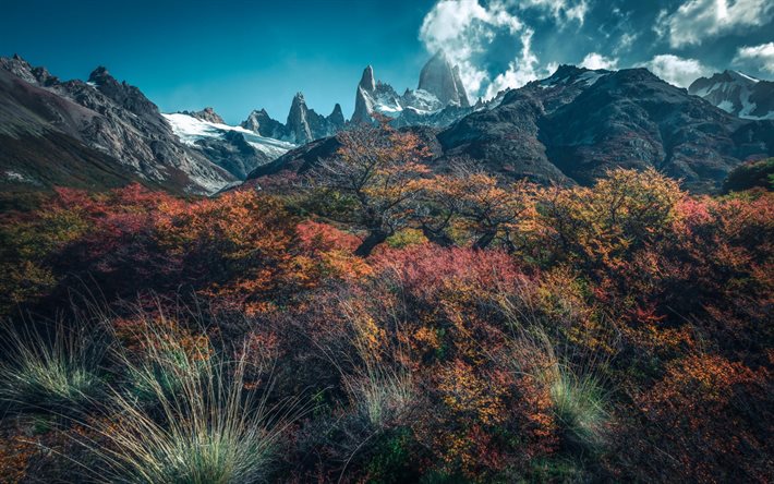 andes, paysage de montagne, rochers, patagonie, plantes de montagne, montagnes, ciel bleu, photos de montagne, chili