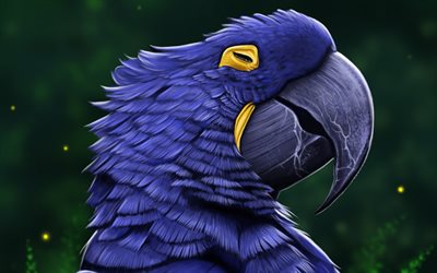 जलकुंभी एक प्रकार का तोता, कलाकृति, एक प्रकार का तोता, नीला तोता, anodorhynchus hyacinthinus, अमूर्त कला, एक प्रकार का तोता के साथ तस्वीरें, तोते, आरा