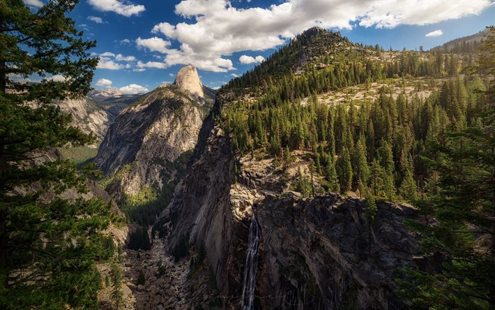 USA, rock, cliff, forest, mountains, America