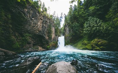 Toketee Falls, Amerika, cliffs, orman, Oregon, ABD