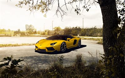 Lamborghini Aventador Roadster, 2016, tuning, Vorsteiner, supercars, LP750-4, amarillo Aventador
