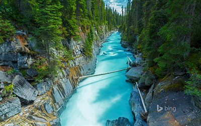 abete rosso, foresta, montagna, fiume, rocce, Parco Nazionale, British Columbia