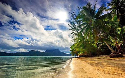 French Polynesia, sea, beach, coast, palm, paradise, HDR