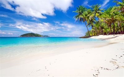 ilhas tropicais, praia, palmeiras, mar, tailândia, phuket