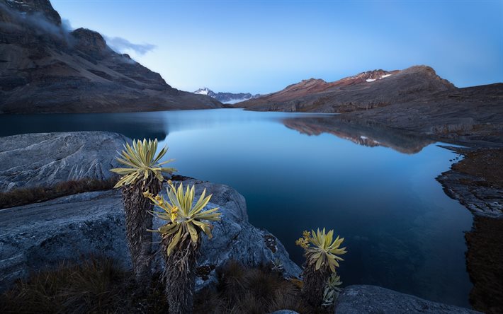 cactus, lac, montagnes, lac de montagne, la nuit, la Laguna de la Plaza, Parc National Naturel de El Cocuy, Andes Colombiennes