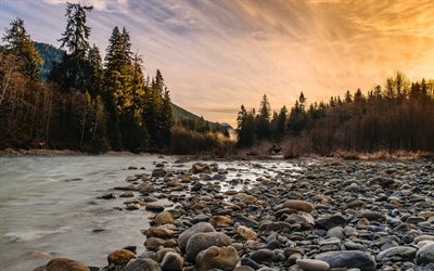 river, mountains, rocks, woods, trees, mountain river, sunset