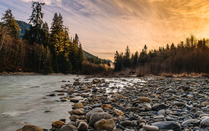 river, mountains, rocks, woods, trees, mountain river, sunset
