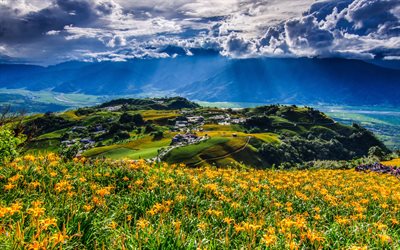 taïwan, 4k, hdr, les montagnes, la vallée, les fleurs, les prés, les villages, l asie