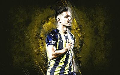 Ferdi Kadioglu, Fenerbahce, Dutch football player, yellow stone background, Turkey, football, grunge art