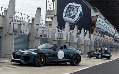 jaguar project 7, f-type, jaguar, 2015, roadster, lo stadio