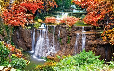 autumn, forest, river, vegetation, waterfall